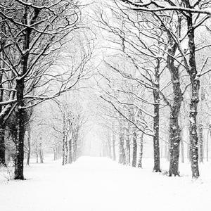 Car Driving Through a Snowy Night