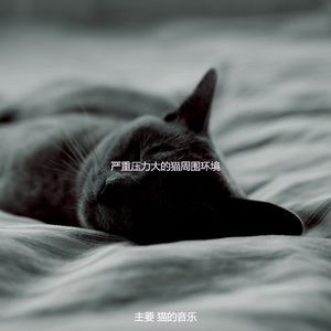 微妙的可爱的猫心情