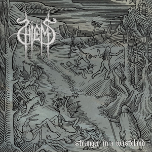 Stranger in a Wasteland