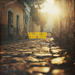 Sollertitudo