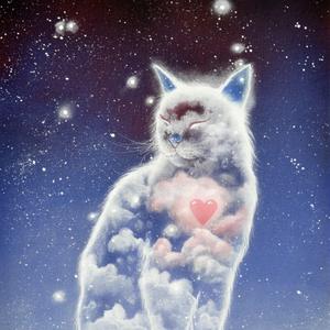 Midnights Taylor Swift