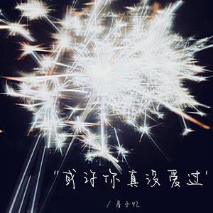 或许你真没爱过（0.8x）