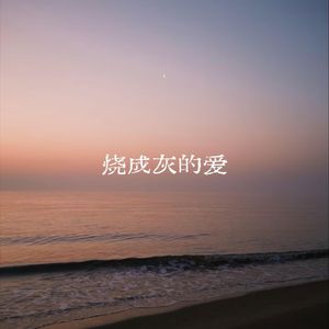 烧成灰的爱