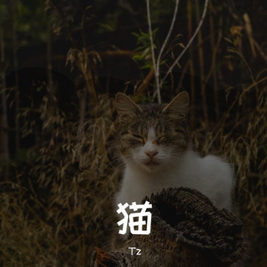 猫（Prod.byBLACKFAT洪汝超）