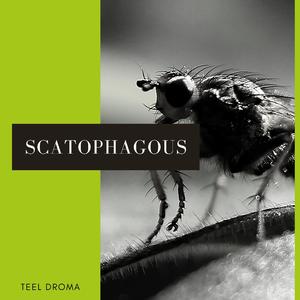 Frightened Implausibility