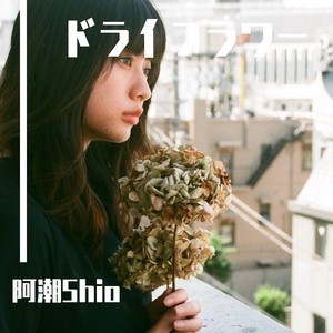 ドライフラワー