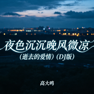 夜色沉沉晚风微凉（逝去的爱情）(动感DJ版)