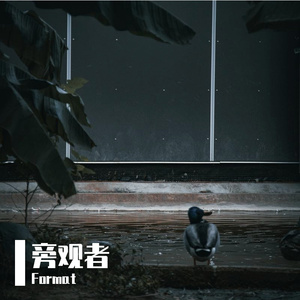 旁观者（告别者）