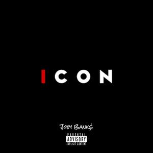 I C O N