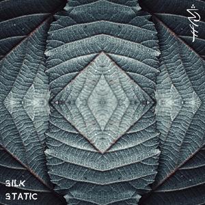 Nurture vs Nature (Silk Static Remix)