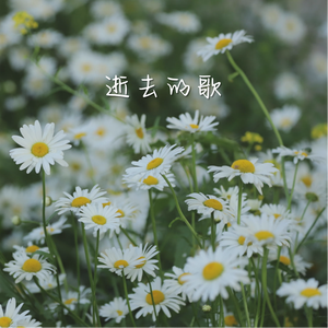 逝去的歌（cover 旅行团乐队）