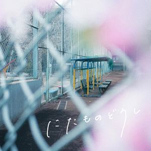 にたものどうし