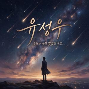 유성우 (우리가 가장 빛났던 순간)