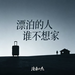 漂泊的人谁不想家