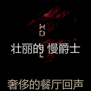 一尘不染酒店酒吧印象数