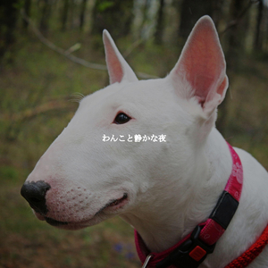 Fashionable Moods for Tea Cleanse