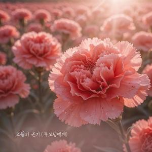 오월의 온기 (부모님에게)