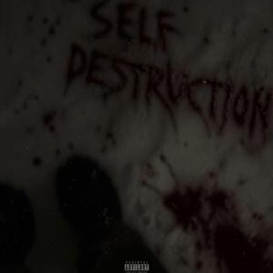 Self Destruction