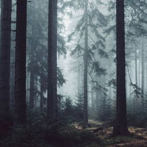 一起闯荡《四平青年之浩哥大战古惑仔》电影插曲(万人合唱版)_蓝波