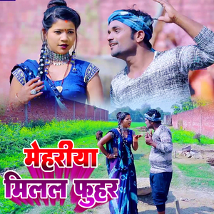 Mehariya Milal Fuhar