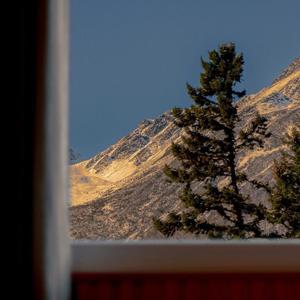 月球下的人（完整版）