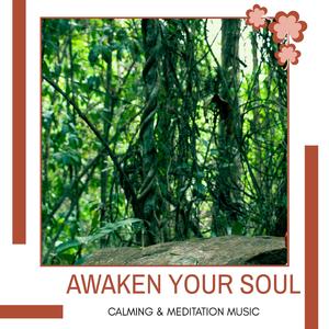 Immerse Yourself (Therapeutic Music)