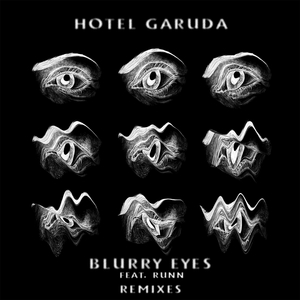 Blurry Eyes (Tim Gunter Remix)