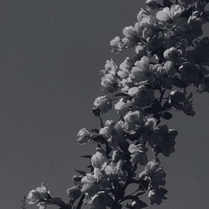 暗淡长夜的那盏灯