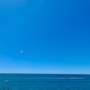 時の向日葵 (feat. GUMI)