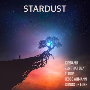 Stardust (feat. TLooP & Jesse Ahmann)