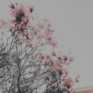 Lonely