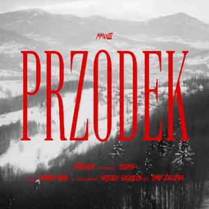 Przodek