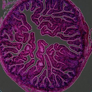 [FREE]爆炸类型节拍