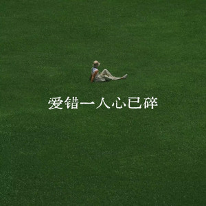 爱错一人心已碎