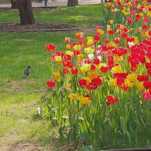 一起走的幸福（翻自 火箭少女101段奥娟）