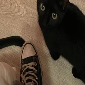 Unloveable (Car/Headphone version)