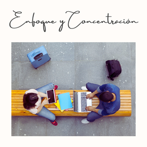 Meditación Productiva