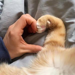 爱你的炽烈 prod.Lisure