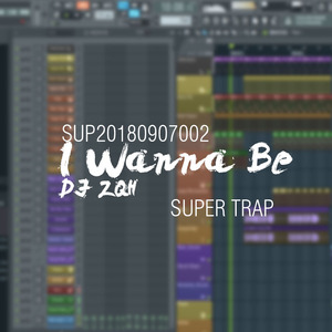 I Wanna Be(Bootleg)