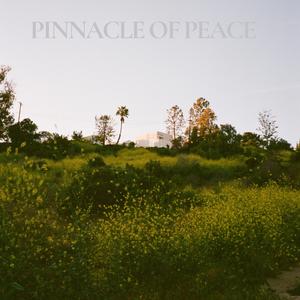 Pinnacle of Rest (Sleep)
