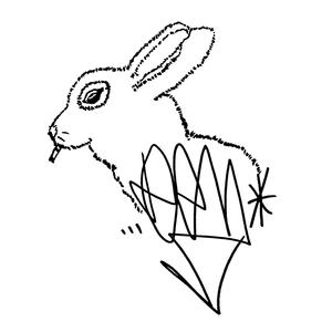 Nanaki