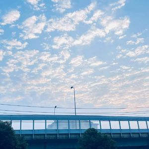 露珠映照下的晨曦绮境