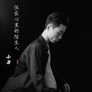 住在心里的陌生人 (伴奏)