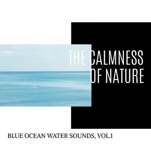 Squirrel at Ocean surface