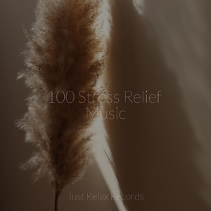 Chaotic Melody's Lament