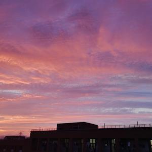 怎么会爱上这样的无赖啊（PROD BY GOAT MUSIC）