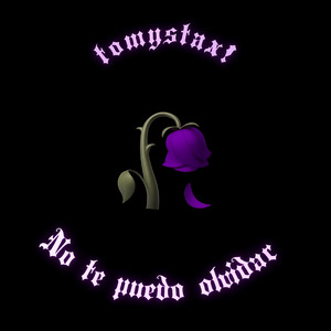 No Te Puedo Olvidar