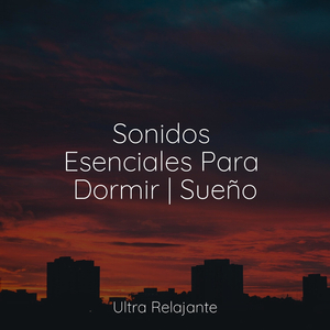 Mirar Fijamente A La Niebla