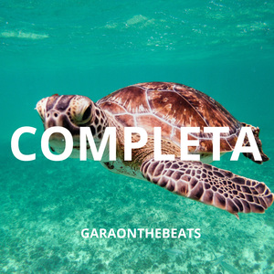 Completa
