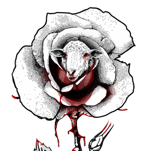 White Rose, Red Thorns